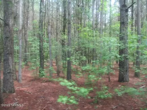 0 Old Mintz Hwy, Garland, NC 28441