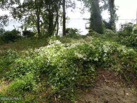 1 Near 106 Lake Shore Dr, Lake Waccamaw, NC 28450