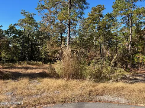 555 Grande Pines Vis, Jackson Springs, NC 27281