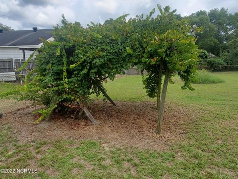 107 Spring Dr, Dudley, NC 28333 photo 18