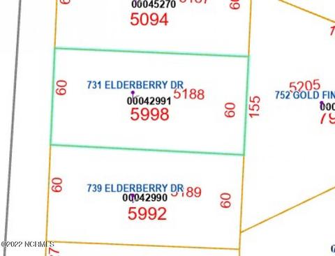 731 Elderberry Dr, Vass, NC 28394 photo 1