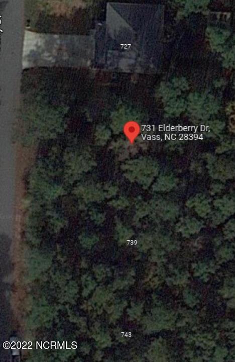 731 Elderberry Dr, Vass, NC 28394 photo 2