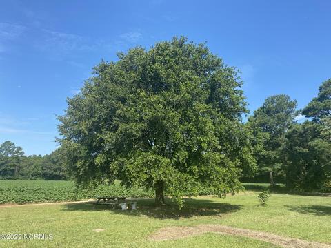 10591 Shiloh Rd, Ivanhoe, NC 28447 photo 8