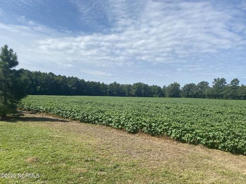 10591 Shiloh Rd, Ivanhoe, NC 28447 photo 12
