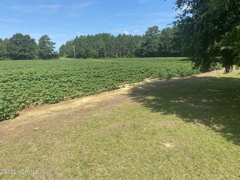 10591 Shiloh Rd, Ivanhoe, NC 28447 photo 11