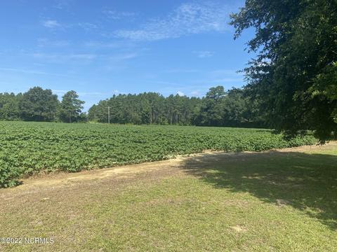 10591 Shiloh Rd, Ivanhoe, NC 28447 photo 10