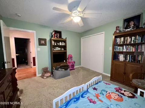 455 Genoa Rd, Dudley, NC 28333 photo 31