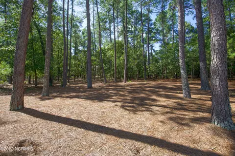 98 Stoneykirk Dr, Pinehurst, NC 28374 photo 54