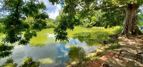 3540 E Darden Rd, Faison, NC 28341 photo 6