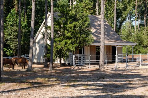 294 E Rolling Meadows Rd, Hampstead, NC 28443 photo 46