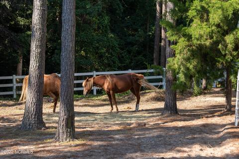 294 E Rolling Meadows Rd, Hampstead, NC 28443 photo 69