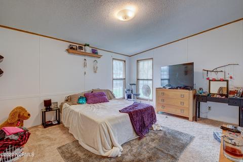 160 Champion Dr, Hampstead, NC 28443 photo 22