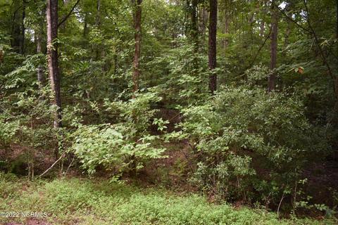 lot2 Fawn Cir, Blounts Creek, NC 27814