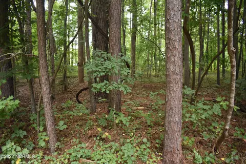 lot44 Cottonwood Dr, Blounts Creek, NC 27814
