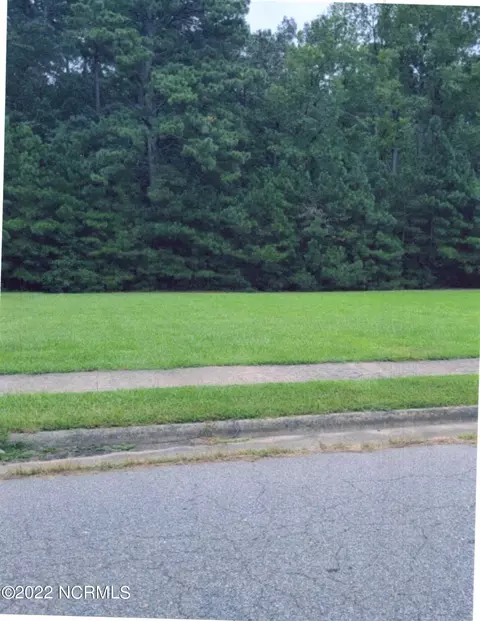 213 N Wilson St, Whitakers, NC 27891