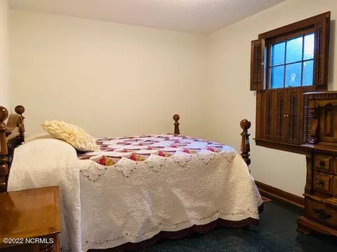 109 Hank Davis Ln, Faison, NC 28341 photo 18