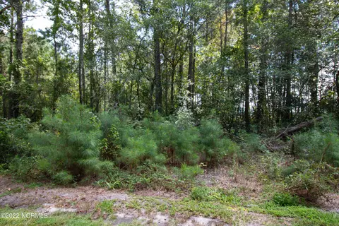 14 Big Eagle Rd, Atkinson, NC 28421 photo 15