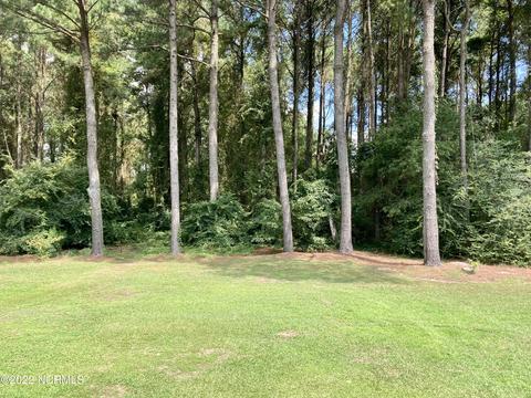 2252 Tulls Mill Rd, Deep Run, NC 28525 photo 7