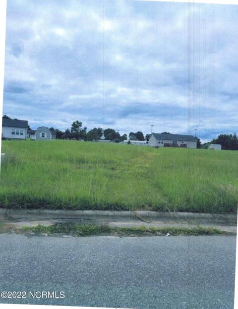 105 Retriever Ct, Whitakers, NC 27891