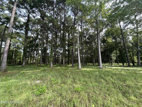 160 Southern Plantation Dr S, Oriental, NC 28571