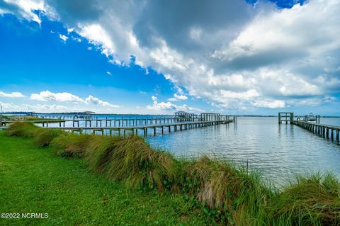 313 Quiet Cv, Gloucester, NC 28528 photo 60