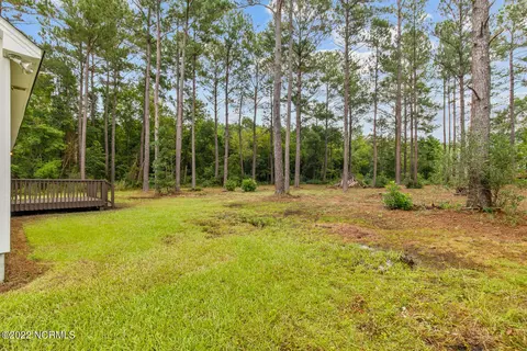 206 E Peyton Pl, Maple Hill, NC 28454 photo 34