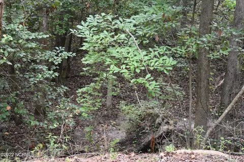 lot27 Birch Dr, Blounts Creek, NC 27814