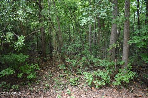 lot3 Maple Ln, Blounts Creek, NC 27814