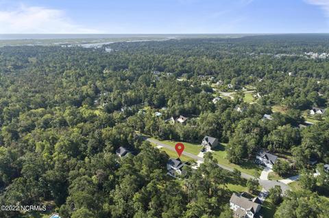108 Katydid Ct, Hampstead, NC 28443 photo 35