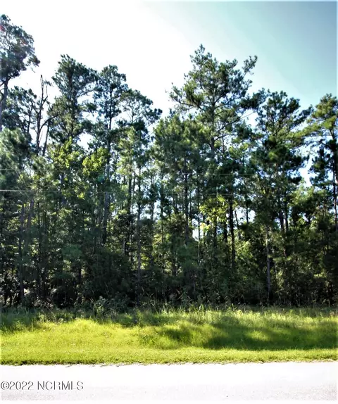 511 Becton Rd, Havelock, NC 28532 photo 4