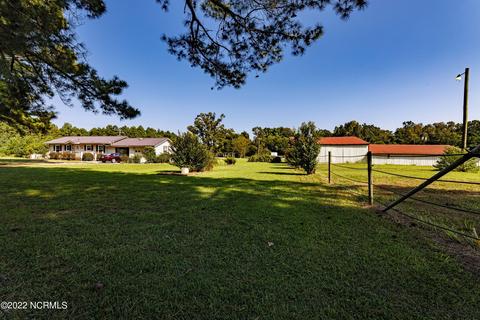 55 Willard Rd, Willard, NC 28478 photo 45