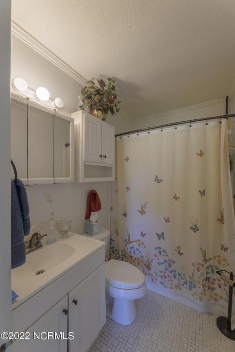 55 Willard Rd, Willard, NC 28478 photo 14