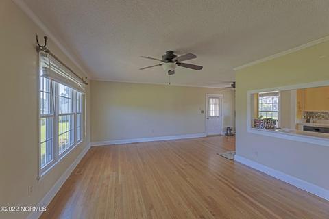 55 Willard Rd, Willard, NC 28478 photo 4