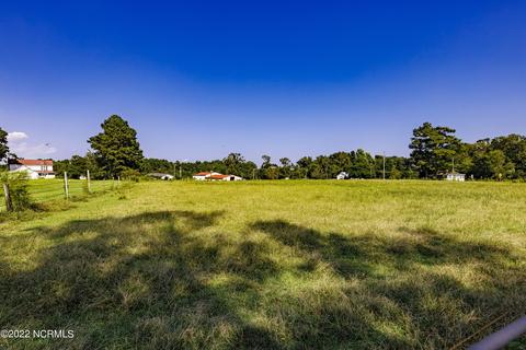 55 Willard Rd, Willard, NC 28478 photo 48