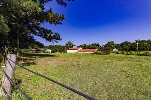 55 Willard Rd, Willard, NC 28478 photo 47