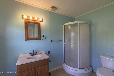 55 Willard Rd, Willard, NC 28478 photo 22