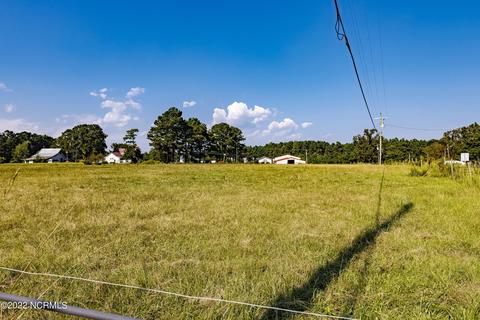 55 Willard Rd, Willard, NC 28478 photo 49