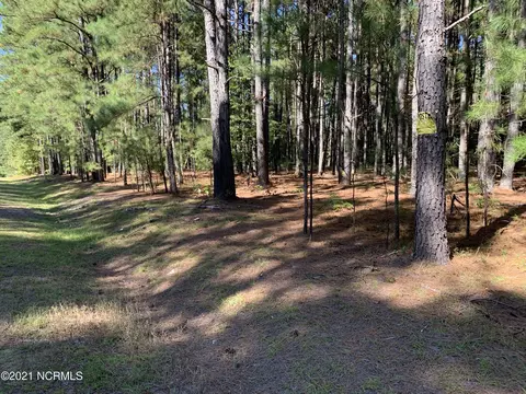 423 Morrison Bridge Rd, Vass, NC 28394 photo 1