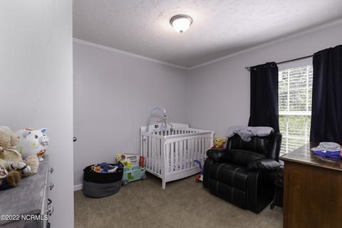 850 Bayleaf Rd, New Bern, NC 28560 photo 17