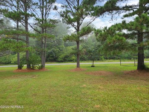 95 Moore Perkerson Rd, Spring Hope, NC 27882 photo 2