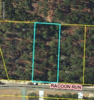 27 Racoon Run, Wagram, NC 28396