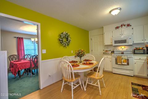 313 James Ave, Hamlet, NC 28345 photo 10