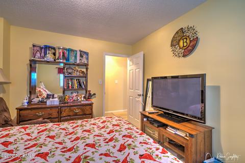 313 James Ave, Hamlet, NC 28345 photo 14