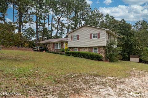 313 James Ave, Hamlet, NC 28345 photo 3