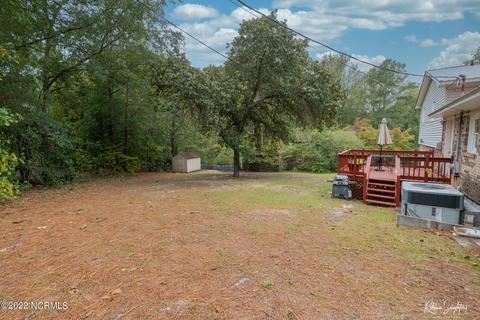 313 James Ave, Hamlet, NC 28345 photo 23