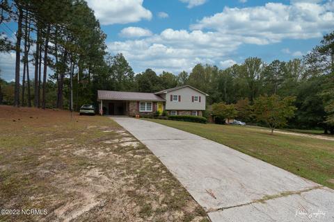 313 James Ave, Hamlet, NC 28345 photo 4