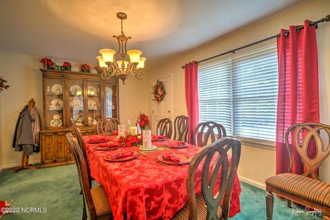 313 James Ave, Hamlet, NC 28345 photo 7