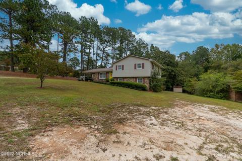 313 James Ave, Hamlet, NC 28345 photo 2