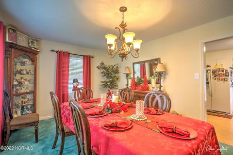 313 James Ave, Hamlet, NC 28345 photo 6