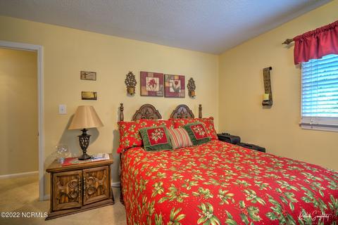 313 James Ave, Hamlet, NC 28345 photo 16